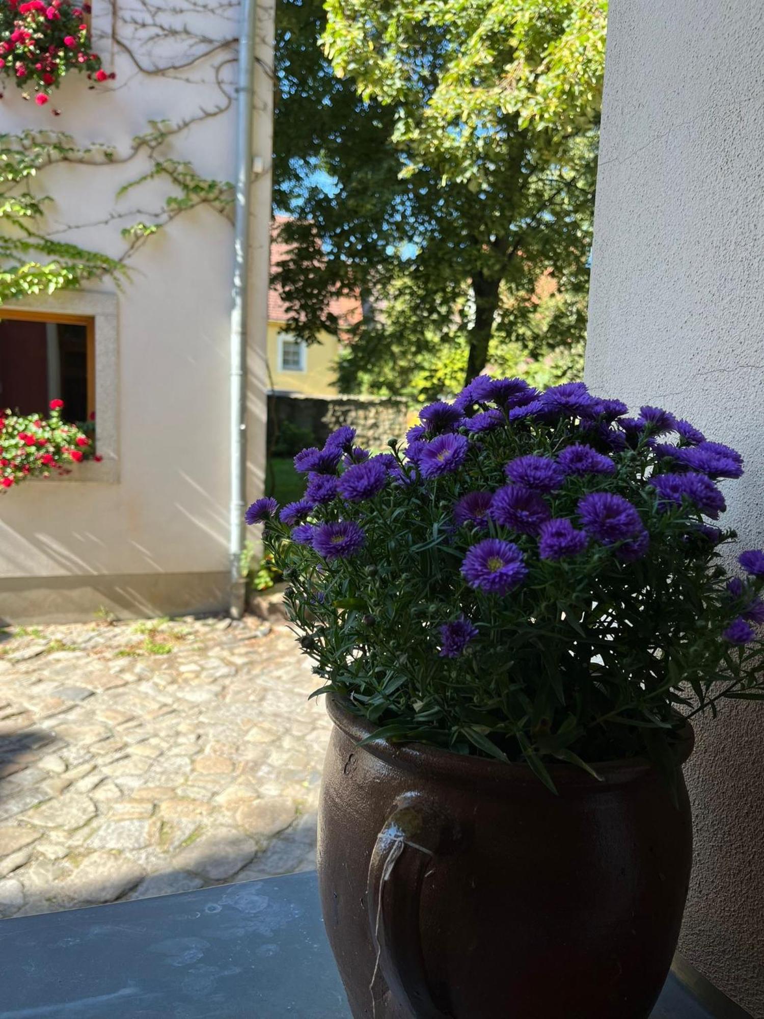 Appartement 5 Predigergasse Bautzen Buitenkant foto